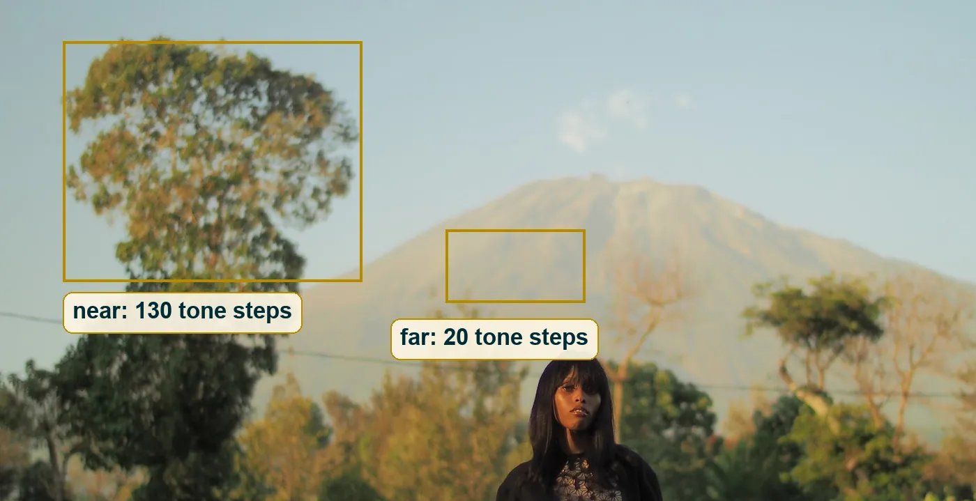 The hazy mountain boxed next to the near tree, with the tone range of each written below