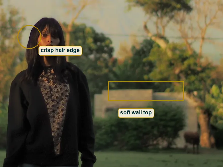 Crop from her hair to the block wall, the crisp hair edge circled and the soft wall top boxed