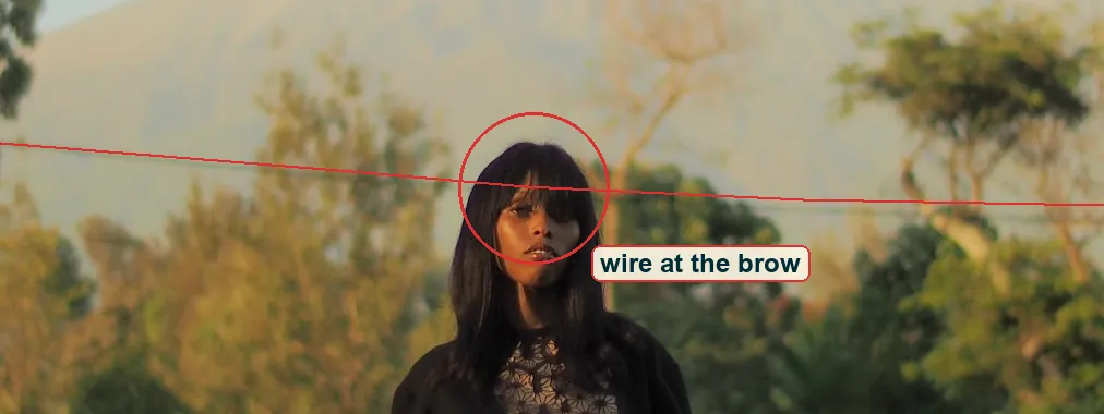 Crop around her head with the power line traced in red, crossing behind her brow