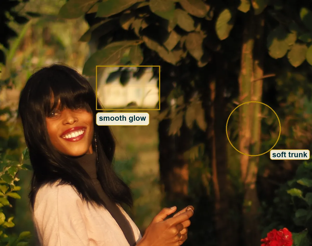 Crop of the background behind her head with the soft bright opening boxed and a blurred trunk circled