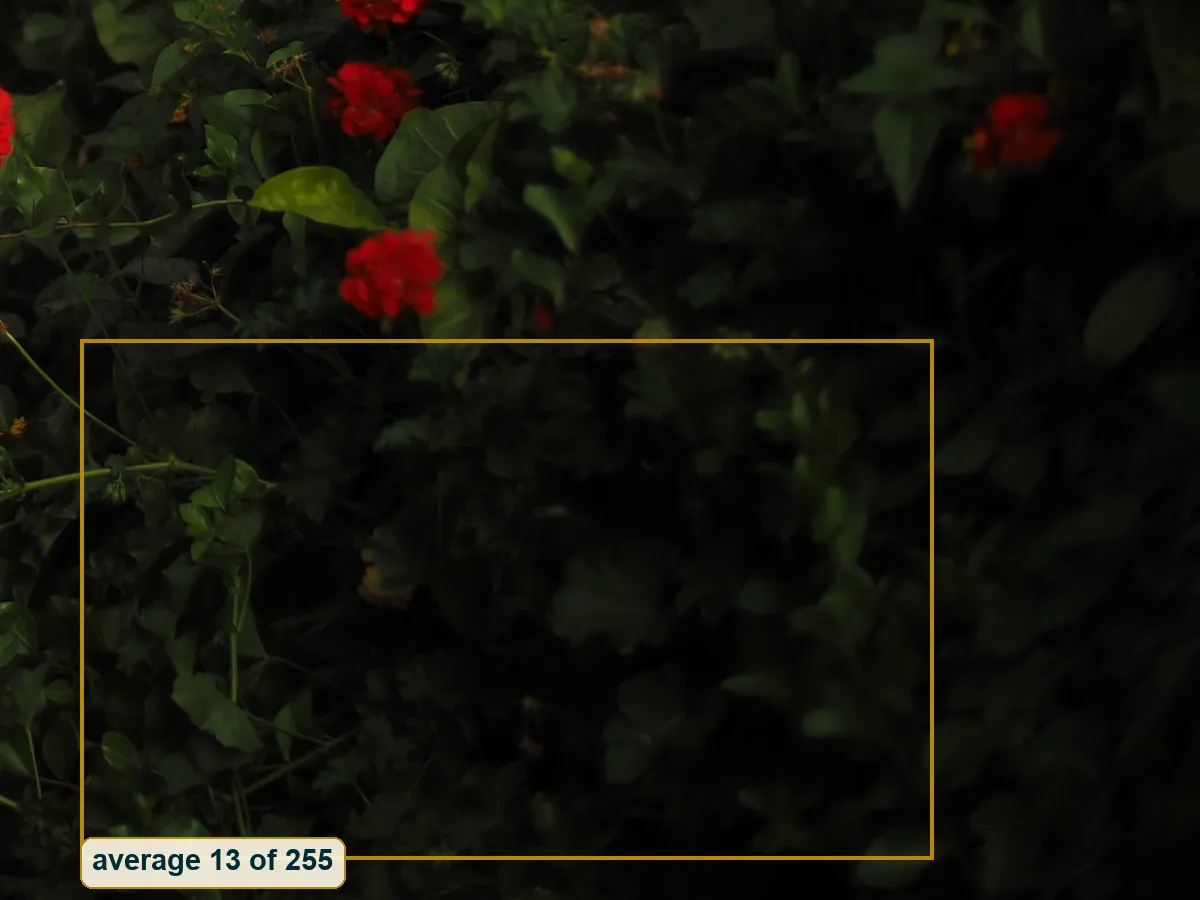 Bottom right corner, deep shade with red flowers above the box, labelled with its average brightness