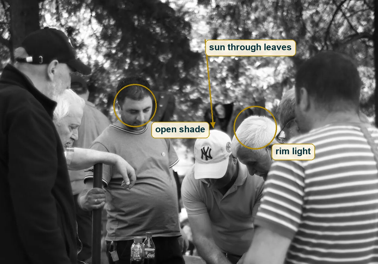 Upper half of the frame with an arrow for the sun falling through the leaves and a circle on rim light in white hair