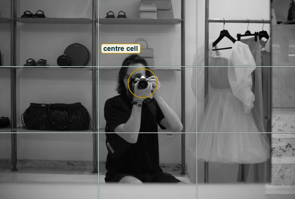 Full frame with a rule-of-thirds grid and the camera circled near the centre