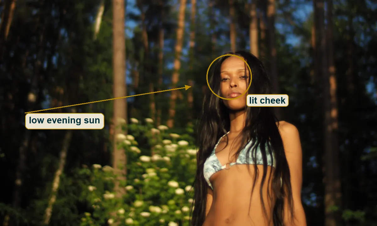 Crop with an arrow for low evening sunlight from the left and a circle on the lit side of her face