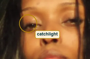 Pixel-level crop of the woman's face and eyes showing the direct calm gaze and individual hair strands