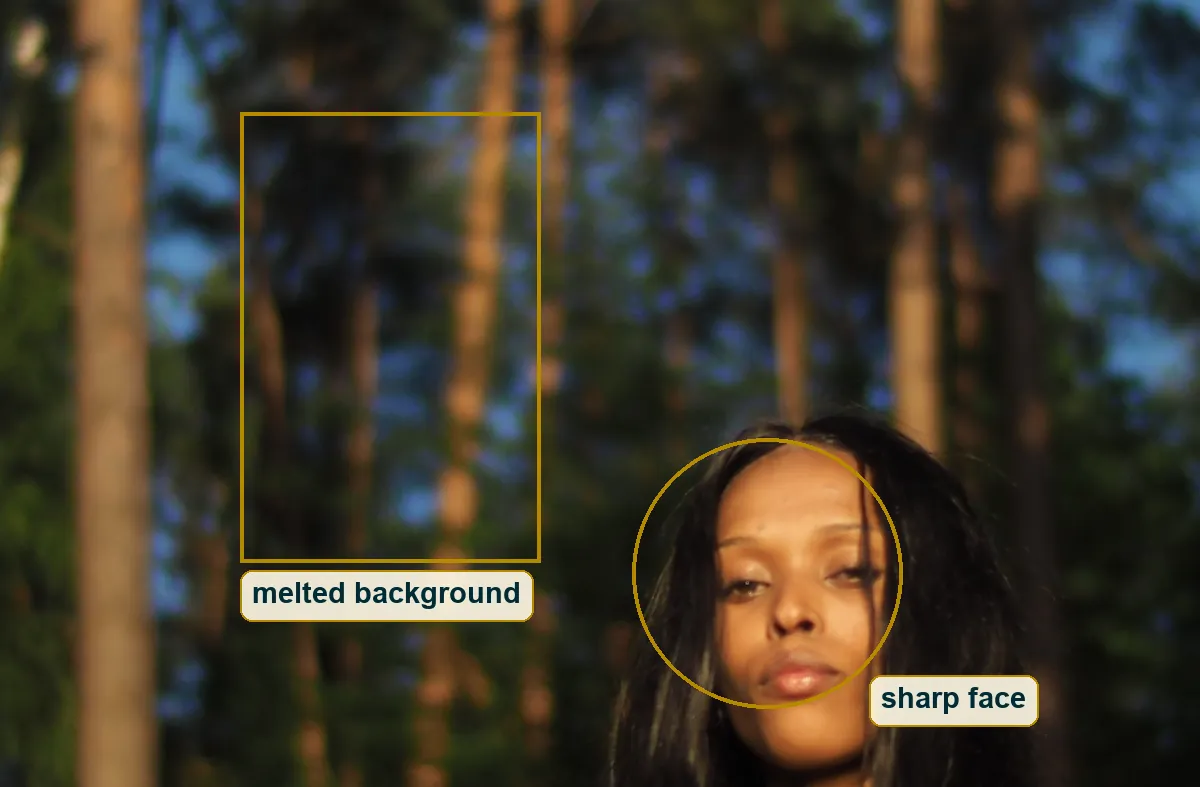 Crop showing the sharp face circled beside the smoothly blurred forest background boxed