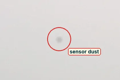 Crop of empty grey sky with a faint dark dust spot circled in red