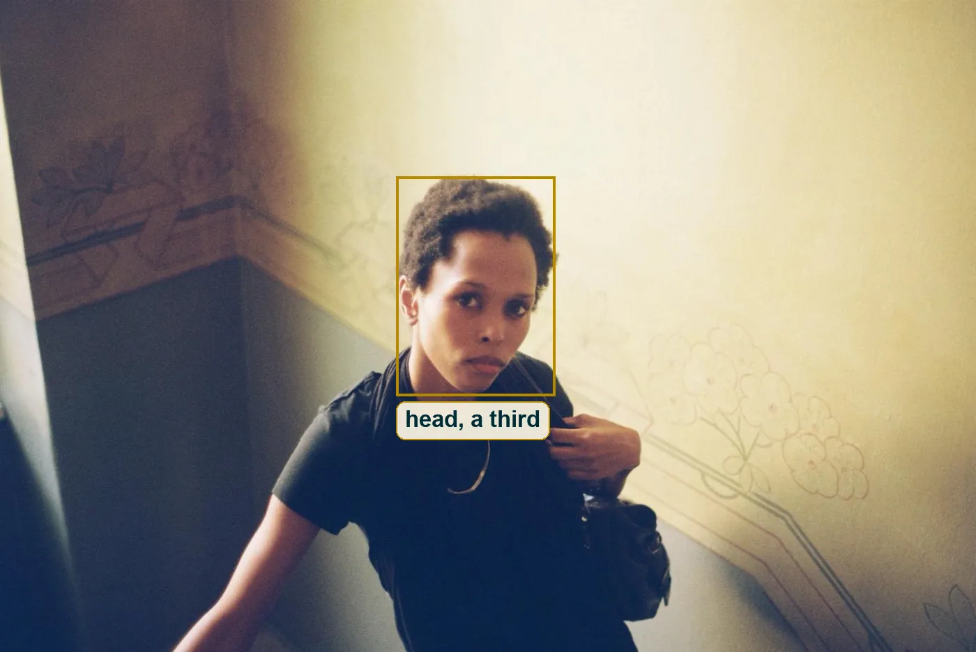 Full photo with a box around her head, which fills about a third of the frame height