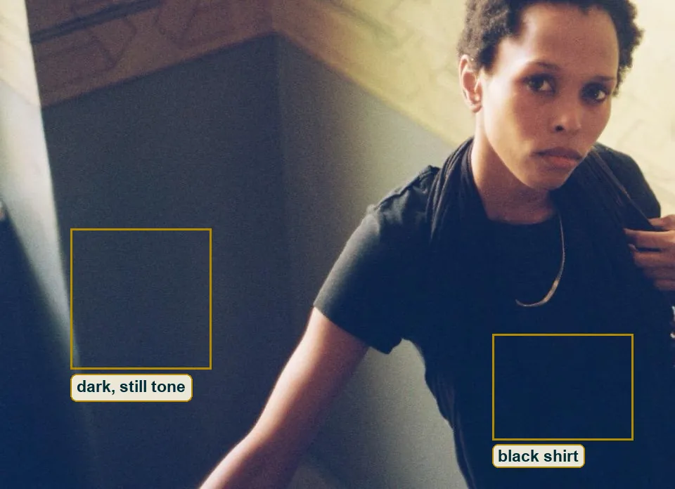 Crop of the dark left side, the blue lower wall and her black shirt hold tone without going flat black