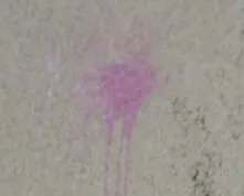 Pixel level crop of flat wall around the pink paint burst showing fine speckle