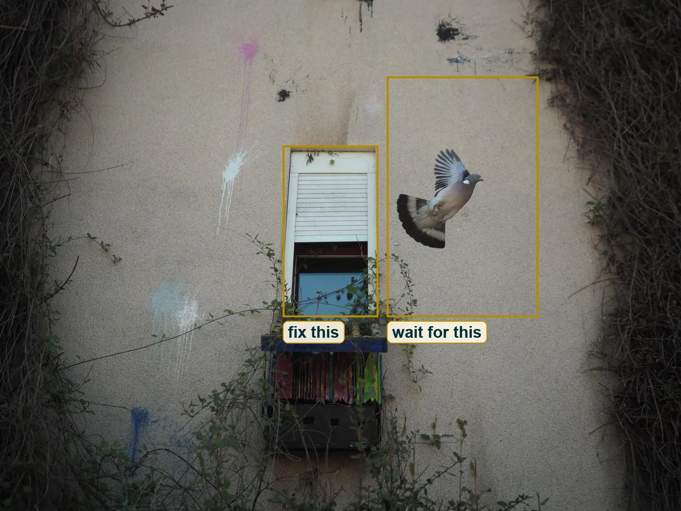 Full frame with the window boxed as the fixed shape and the open wall on the right boxed as the space to wait for